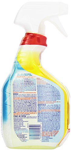 Tilex Mold & Mildew Remover, 32 oz